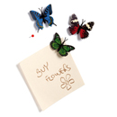 9 Butterfly shaped pushpins in collectors giftbox